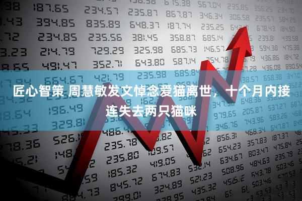 匠心智策 周慧敏发文悼念爱猫离世，十个月内接连失去两只猫咪
